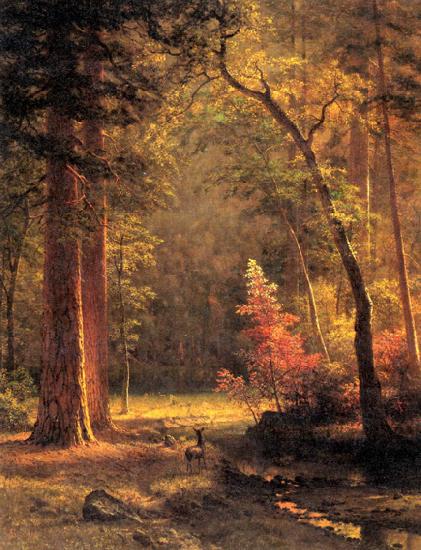 Albert Bierstadt Dogwood by Albert Bierstadt oil painting picture
